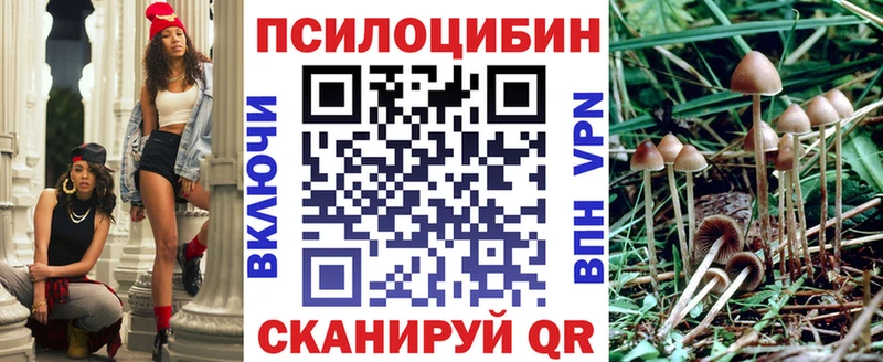 Галлюциногенные грибы Psilocybe  Батайск 